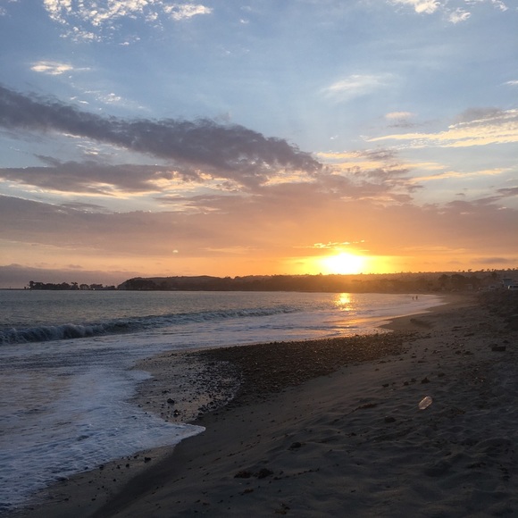 Meet your Posher, Rylee - Picture 1 of 1